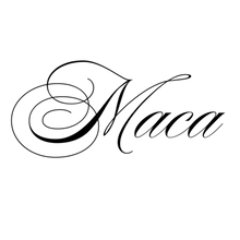 Semi-Permanent - Black Line Only