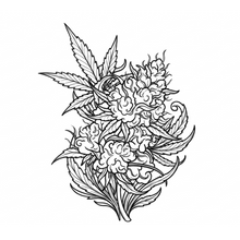Semi-Permanent - Black Line Only