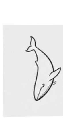 Semi-Permanent - Black Line Only