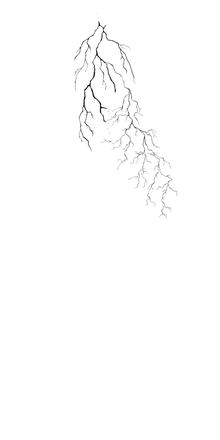 Semi-Permanent - Black Line Only