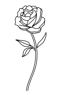 Semi-Permanent - Black Line Only