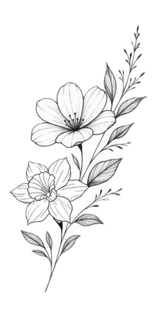 Semi-Permanent - Black Line Only