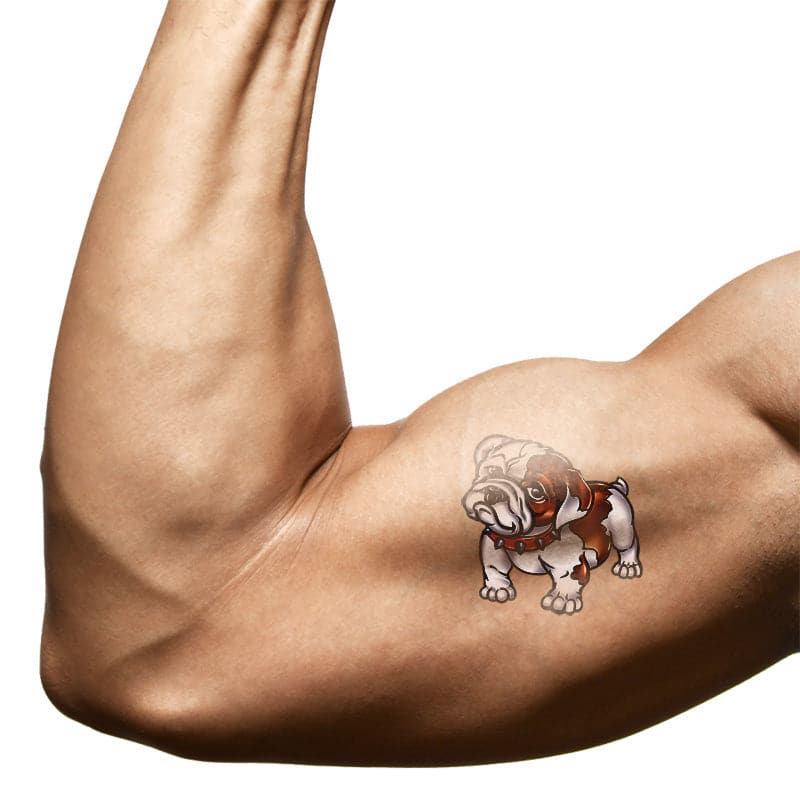 cute bulldog temporary tattoo