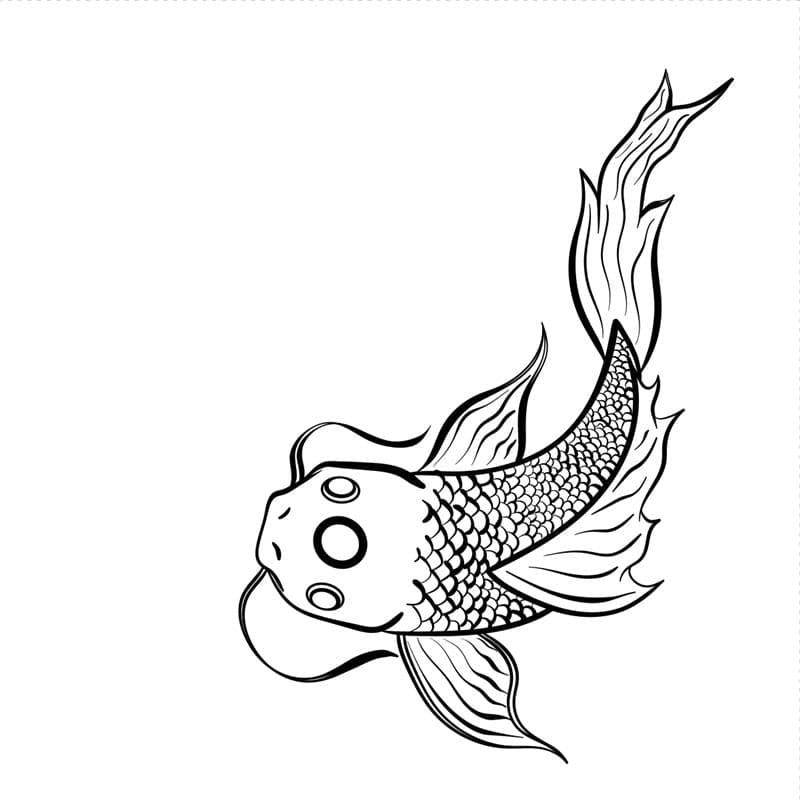Koi Fish Yin Yang Temporary Tattoo