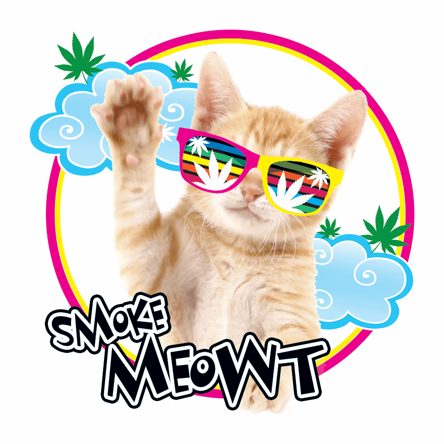 Weed Cat with Sunglasses