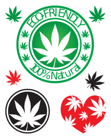 Eco-Friendly Tattoo Temporary Tattoos