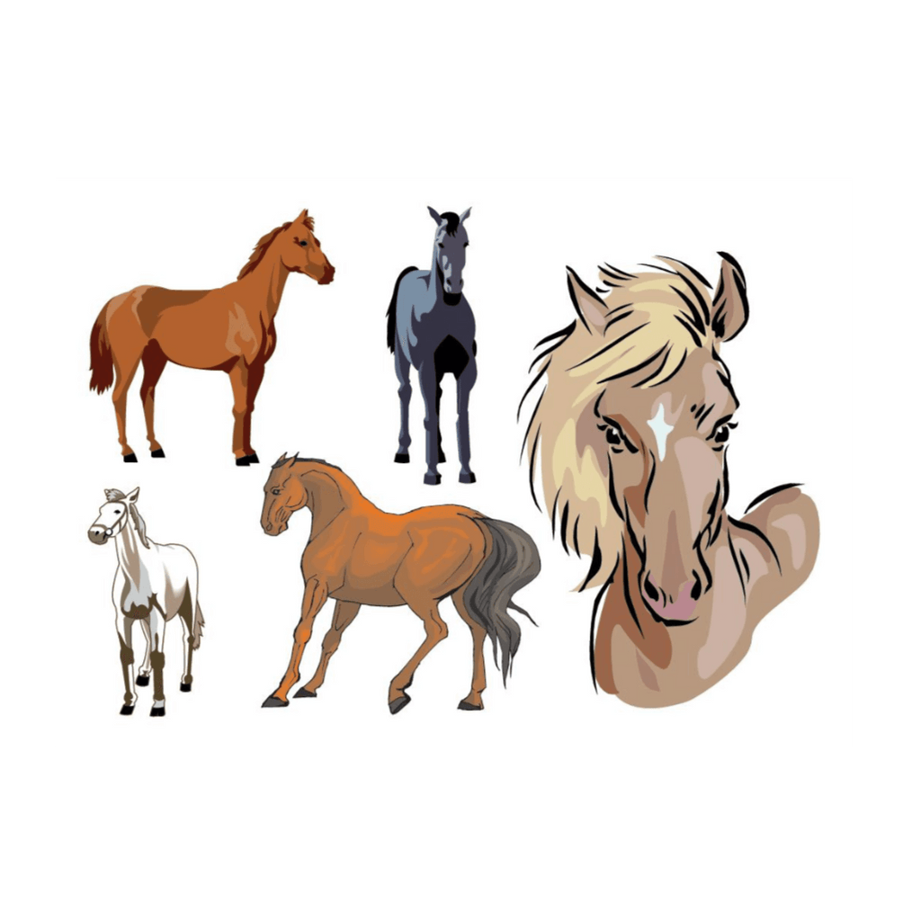 Set of Horses Temporary Tattoos