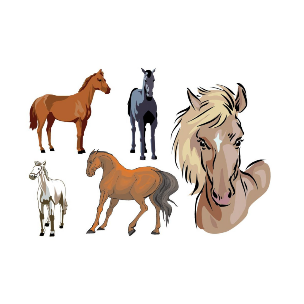 Set of Horses Temporary Tattoos