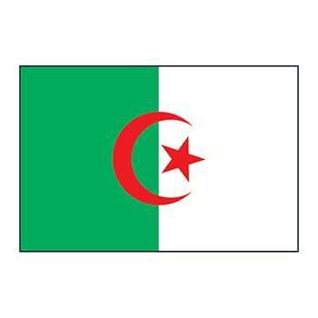 Algeria Flag Temporary Tattoo