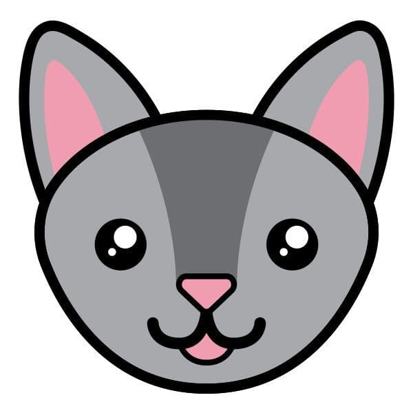 Chartreux Cat Face Temporary Tattoo