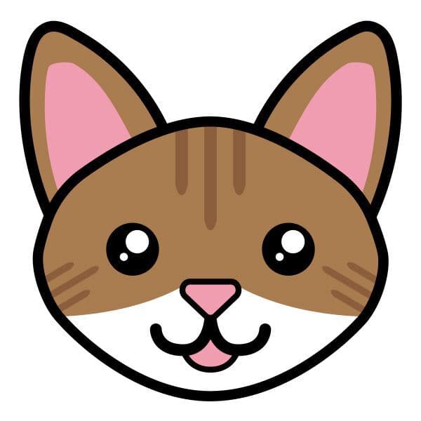 Brown Tabby Cat Face Temporary Tattoo