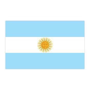 Argentina Flag Temporary Tattoo