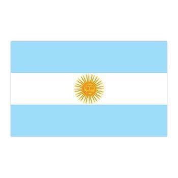 Argentina Flag Temporary Tattoo