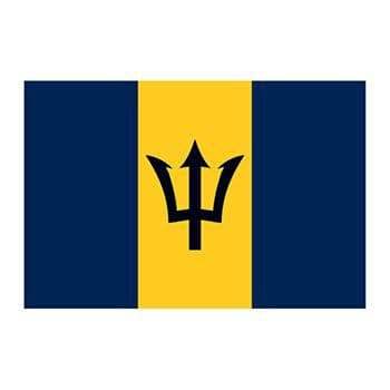 Barbados Flag Temporary Tattoo