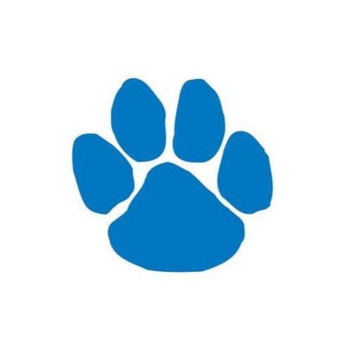 Blue Paw Print Temporary Tattoo