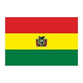 Bolivia Flag Temporary Tattoo