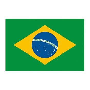 Brazil Flag Temporary Tattoo