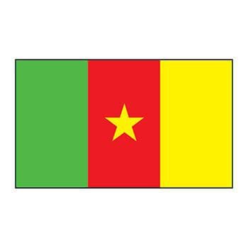 Cameroon Flag Temporary Tattoo