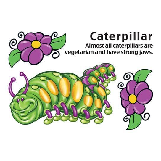 Cartoon Caterpillar Temporary Tattoo