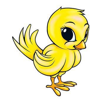 Chick Temporary Tattoo