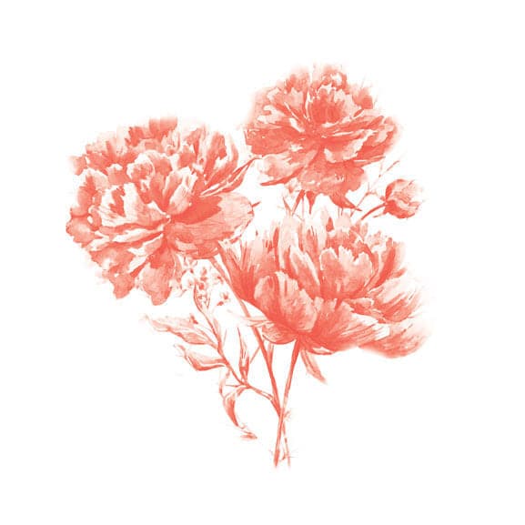 Coral Flower Carnations Temporary Tattoo