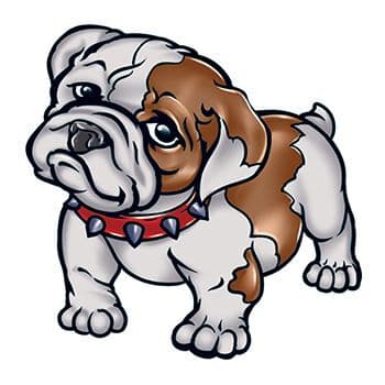 Cute Bulldog Temporary Tattoo