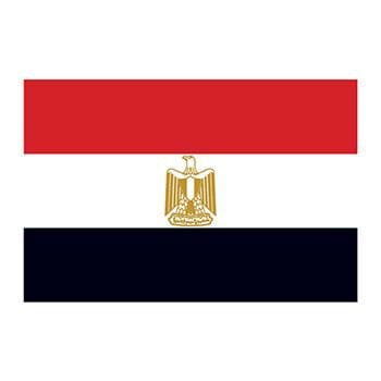 Egypt Flag Temporary Tattoo