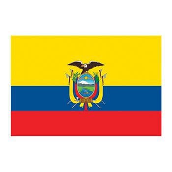 Flag of Ecuador Temporary Tattoo