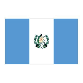 Flag of Guatemala Temporary Tattoo