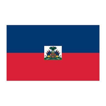 Flag of Haiti Temporary Tattoo