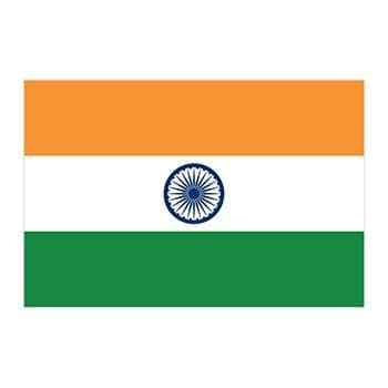 Flag of India Temporary Tattoo
