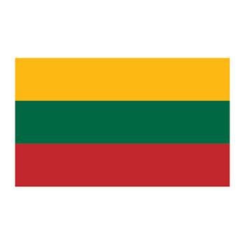 Flag of Lithuania Temporary Tattoo