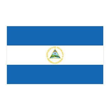 Flag of Nicaragua Temporary Tattoo