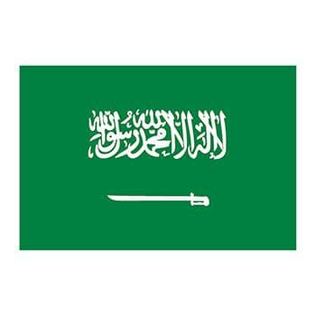 Flag of Saudi Arabia Temporary Tattoo