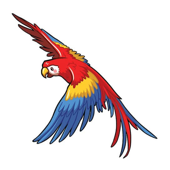Flying Macaw Temporary Tattoo