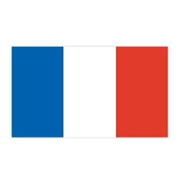 France Flag Temporary Tattoo