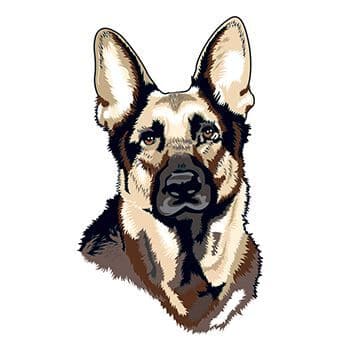 German Shepherd Temporary Tattoo