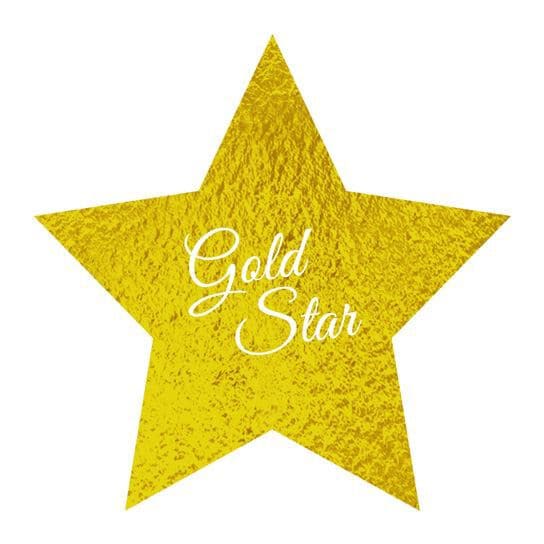 14K GOLD STAR RING – Jen K Online