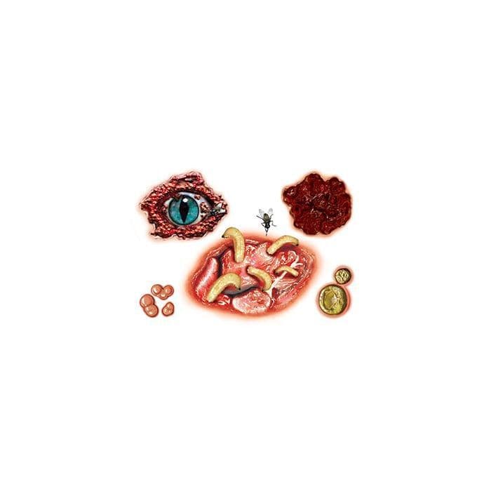 Gory Eyeball and Maggots Temporary Tattoo