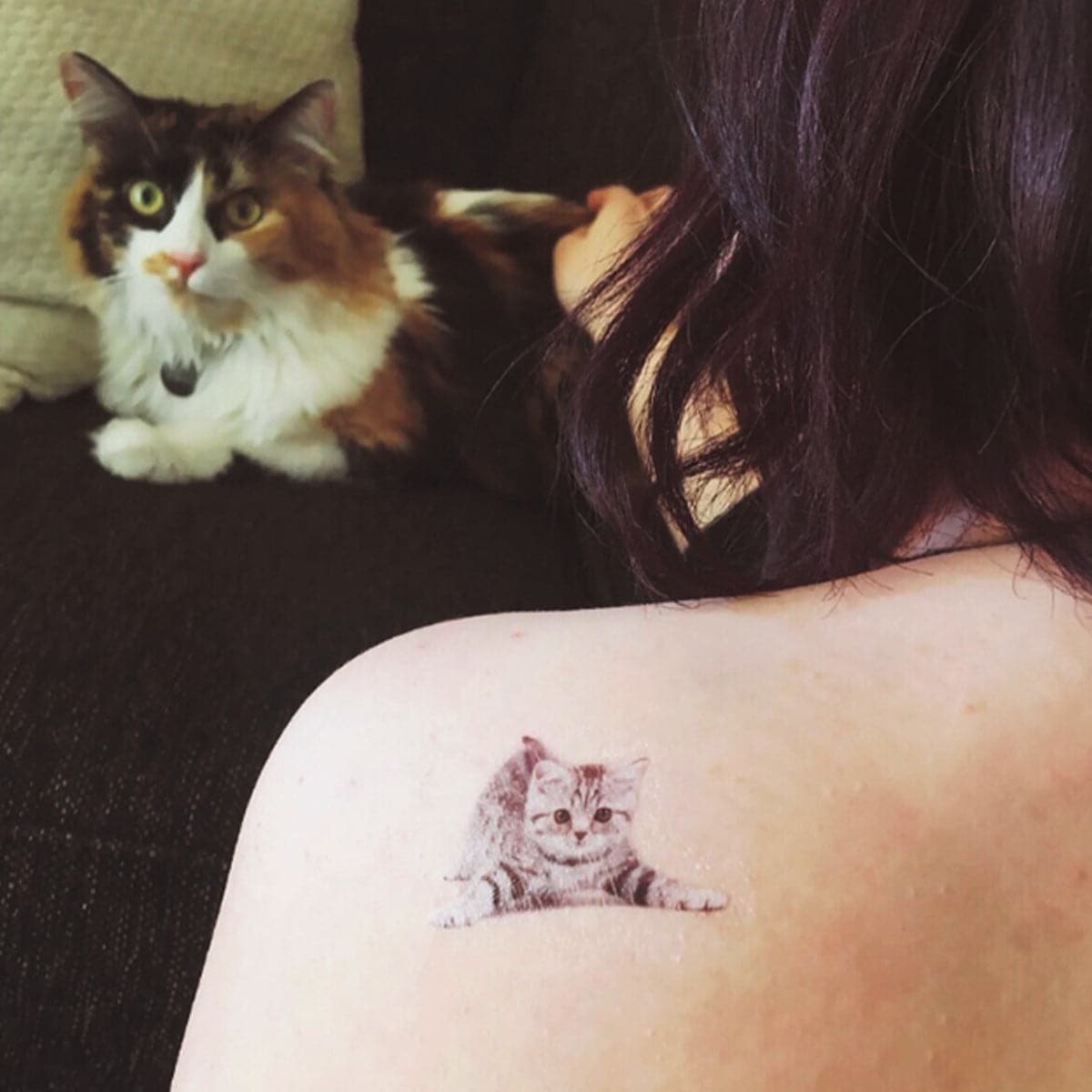 grey kitten temporary tattoo