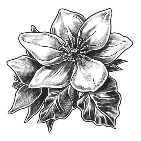 Gray Magnolia Temporary Tattoo