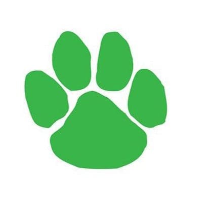 Green Paw Print Temporary Tattoo