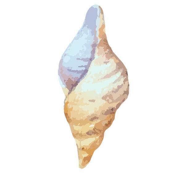 Conch Shell Temporary Tattoo
