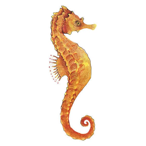 Realistic Seahorse Temporary Tattoo