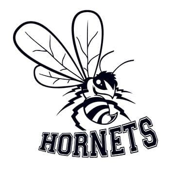 Hornets Sports Temporary Tattoo