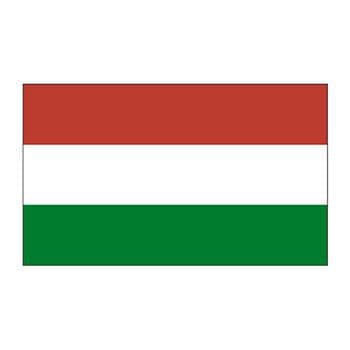 Hungary Flag Temporary Tattoo