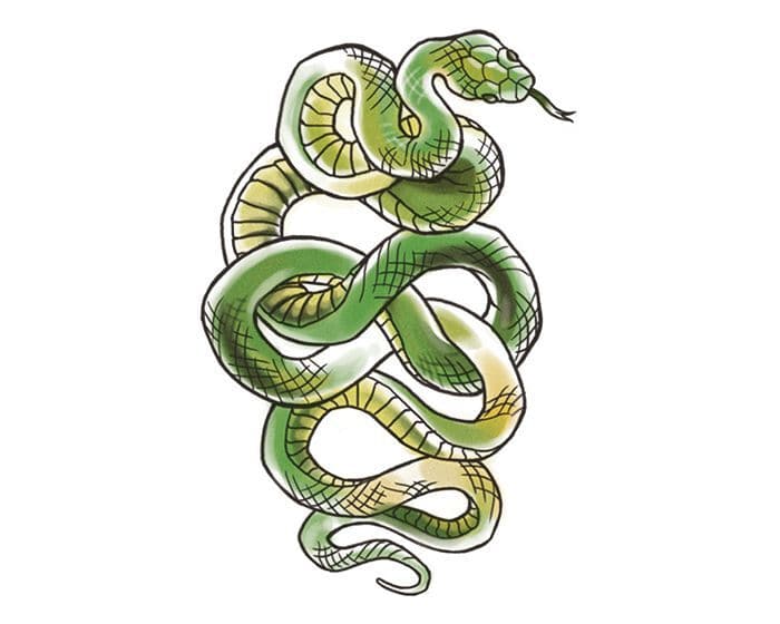 Infinity Snake Temporary Tattoo