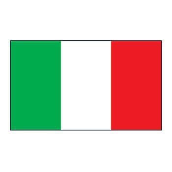 Italy Flag Temporary Tattoo