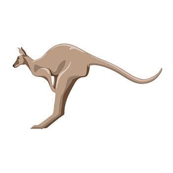 Kangaroo Temporary Tattoo