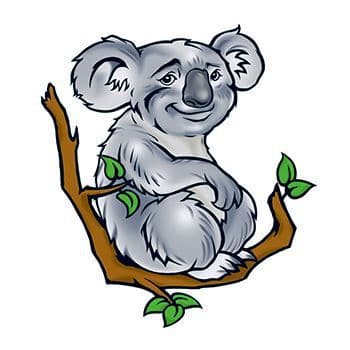 Koala Temporary Tattoo